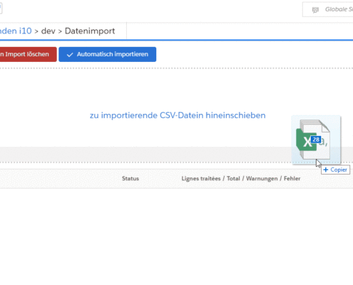 datenmigration immob10